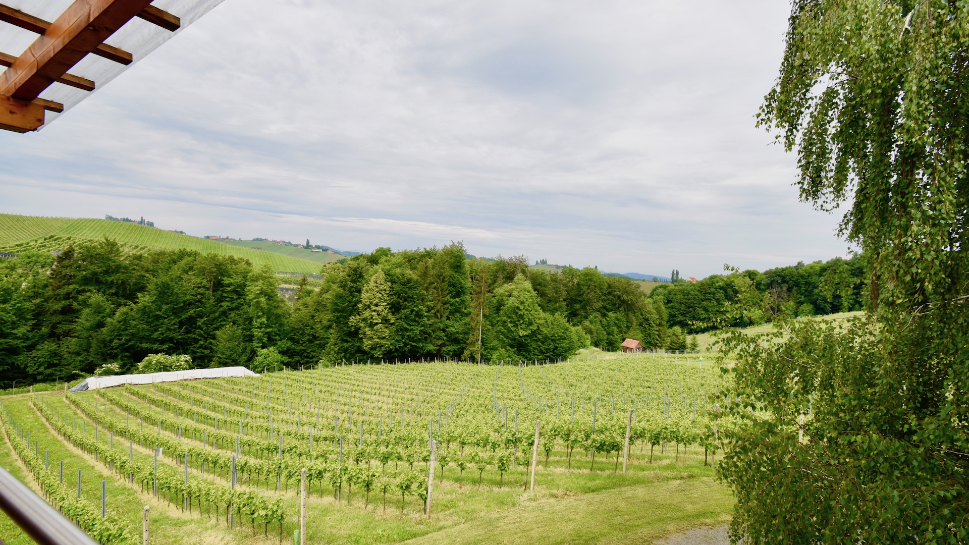 bz-immobilien
